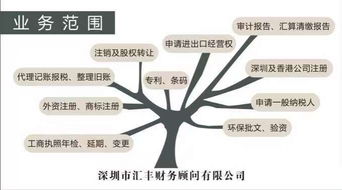 深圳進出口經(jīng)營權(quán)與代理進出口服務(wù)全解析